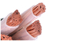 5 Çekirdek CU PVC XLPE Güç Kablosu IEC Standart ISO KEMA Onaylı 600 / 1000V Tedarikçi