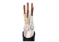 CE / KEMA Sertifikası ile PVC Kılıf XLPE İzoleli Kontrol Kabloları Tedarikçi