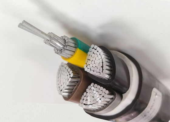 RVV 2x2.5mm2 Flexible Oxygen-Free Copper PVC Insulated Sheathed Cable for Home Appliance 300/500V tedarikçi