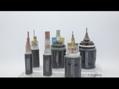 XLPE İzoleli Siyah PVC Güç Kablosu Bakır/Alüminyum İletken