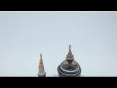 600V Bakır PVC Zırhlı Elektrik Kablosu