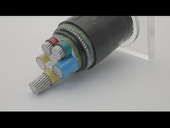 AWA SWA Zırhlı Bakır 100m Uzunluk PVC Kılıflı Örgülü Kablo