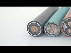 AWA Tek Damarlı Bakır Zırhlı Elektrik Kablosu XLPE İzolasyon