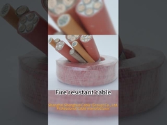 0.6 / 1kV CU / XLPE LOZH Yangına Dayanıklı Kablo Dahili / Harici Elektrik Kablosu